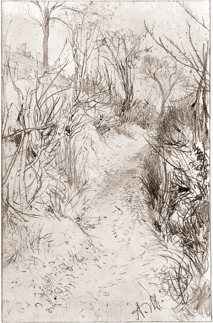  Adolpyh Von Menzel —— 灌木丛中的小路